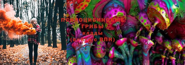 mdma Богородицк