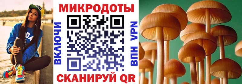 Галлюциногенные грибы ЛСД  нарко площадка Telegram  Малая Вишера  omg онион 