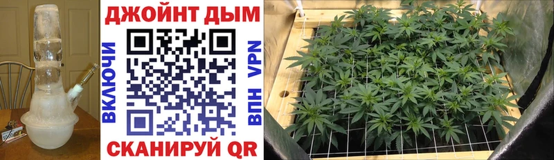 Конопля марихуана  Малая Вишера 